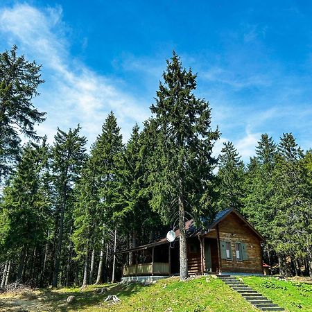 Natura Haziko Villa Izvoare  Buitenkant foto