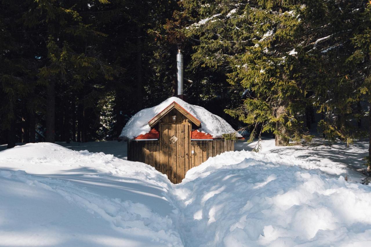 Natura Haziko Villa Izvoare  Buitenkant foto