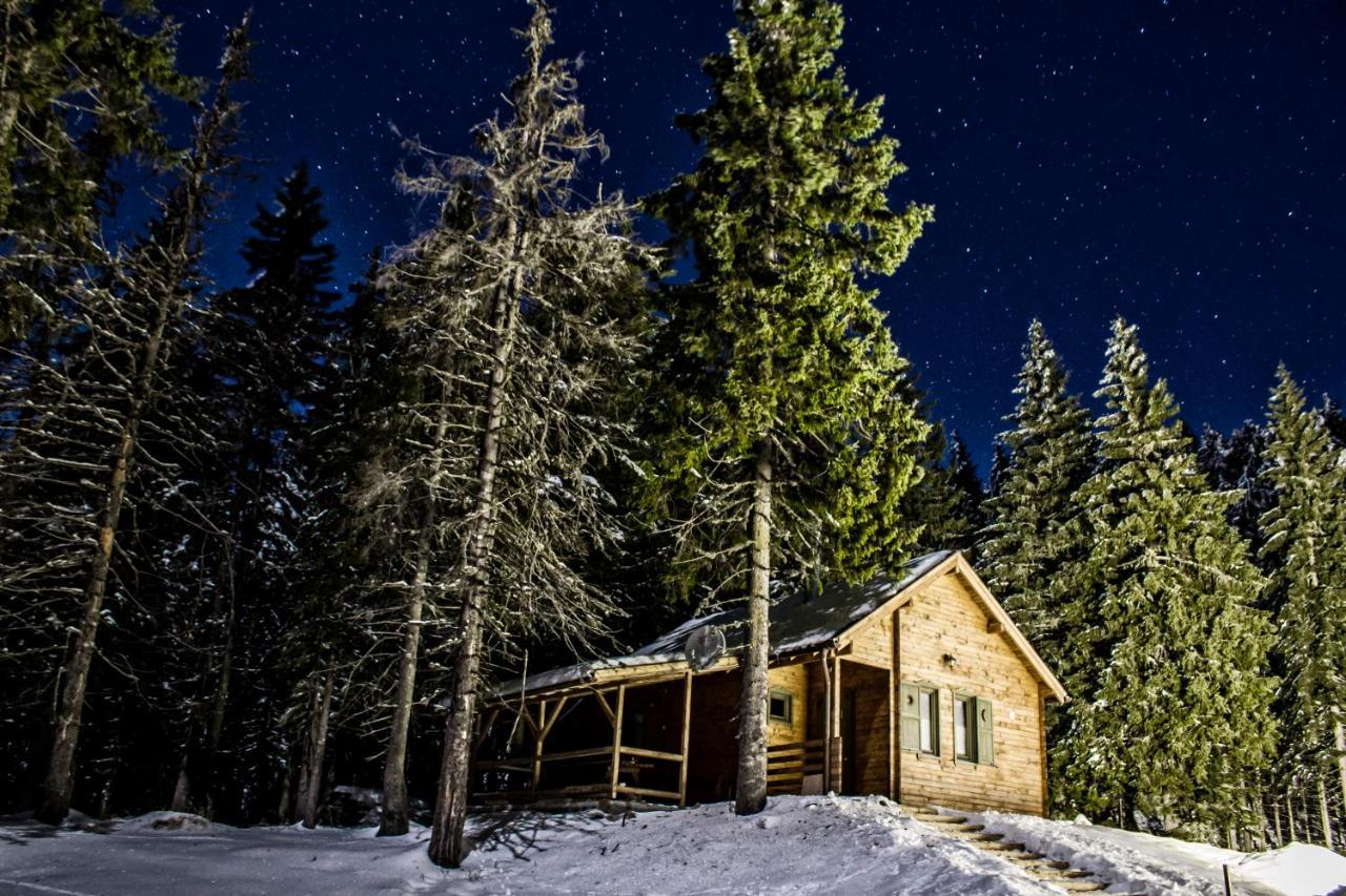 Natura Haziko Villa Izvoare  Buitenkant foto