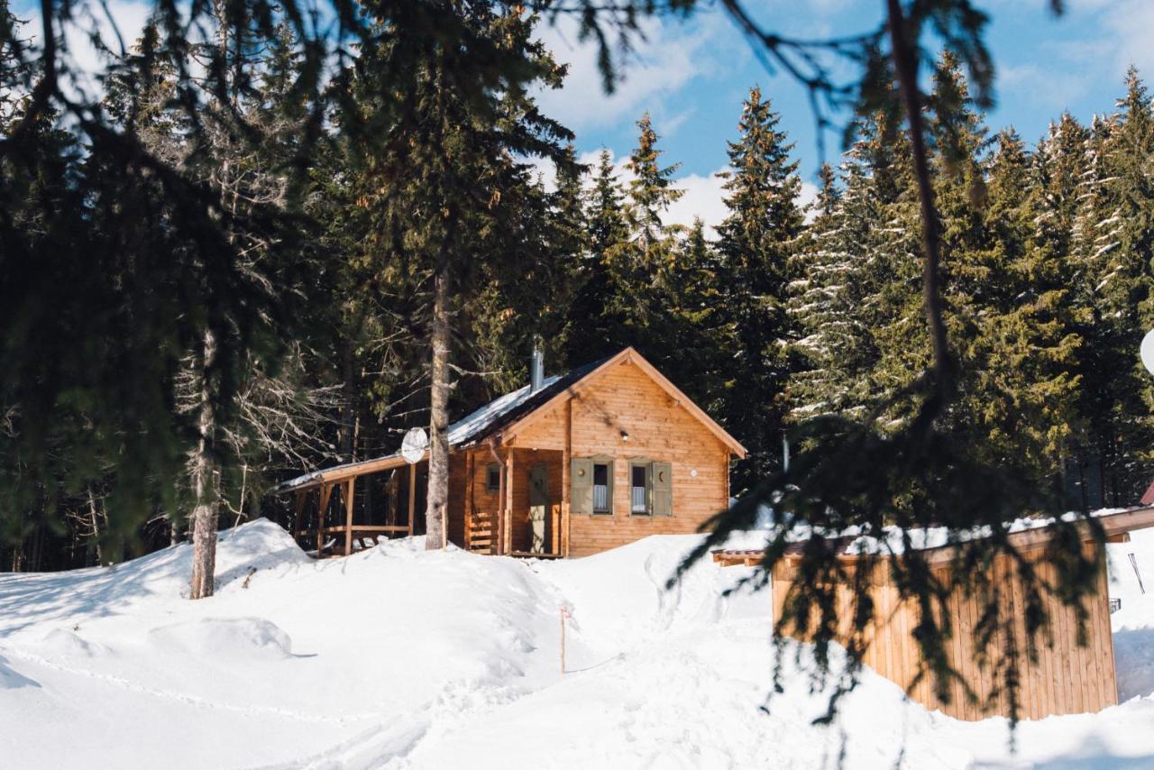 Natura Haziko Villa Izvoare  Buitenkant foto