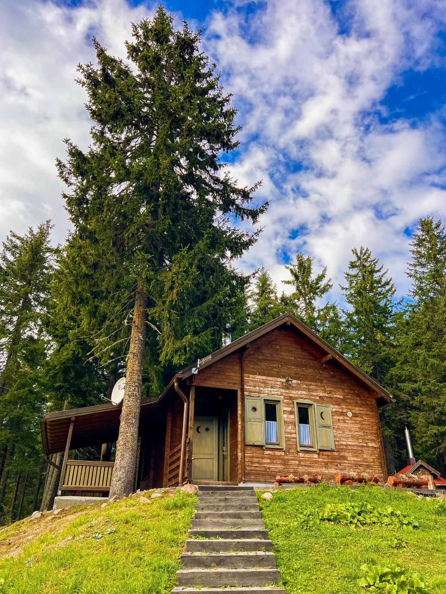 Natura Haziko Villa Izvoare  Buitenkant foto